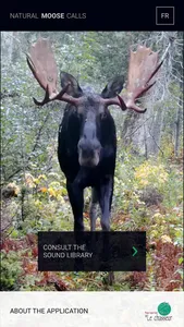 Natural Moose Calls screenshot 1