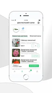 Дом растений г.Сочи screenshot 0