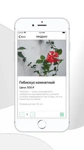 Дом растений г.Сочи screenshot 2