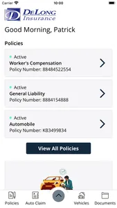 DeLong Insurance Online screenshot 1