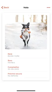 Tucán screenshot 1