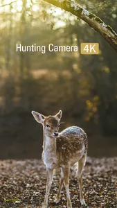 Hunting Camera 4K screenshot 0