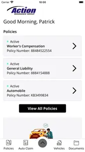Action Insurance Group screenshot 1