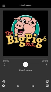 The Big Pig screenshot 0