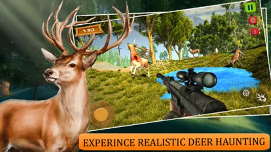 Wild Deer Forest Safari Quest screenshot 0