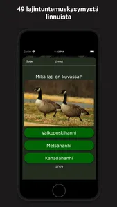 Metsästysvisa screenshot 2