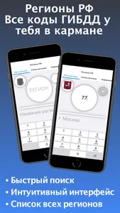 Регионы РФ – Коды ГИБДД screenshot 0