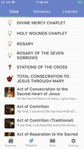 Regina Caeli screenshot 2