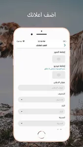 حراج أغنام screenshot 2