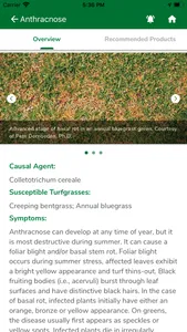 Syngenta GreenCast Turf App screenshot 8