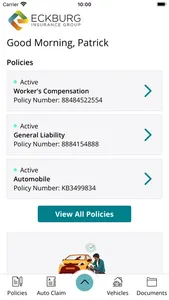 Eckburg Insurance Group Online screenshot 1