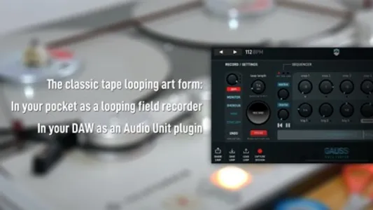 Gauss Field Looper screenshot 1