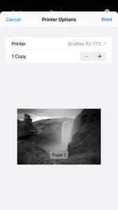 AirMobile Print Pro screenshot 2