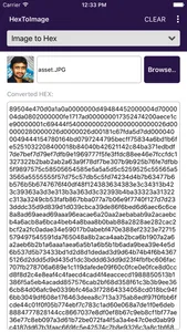 HexToImage Converter screenshot 2