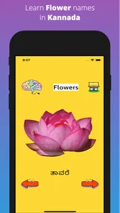 Learn Kannada Flashcards screenshot 5