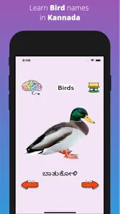 Learn Kannada Flashcards screenshot 8