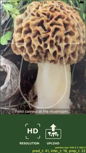 Mushrooms app screenshot 2