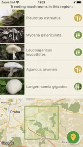 Mushrooms app screenshot 3