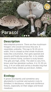 Mushrooms app screenshot 4