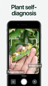 Planto: Plant Identifier screenshot 3