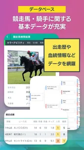 SPAIA競馬 screenshot 7