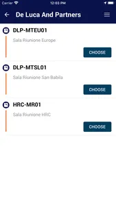 DeLuca&Partners screenshot 2