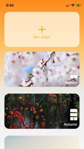 Pin Photo - Photo Widget screenshot 5