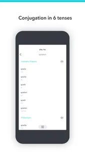 Verbs conjugation screenshot 2