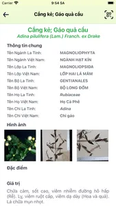 VQG Việt Nam screenshot 2