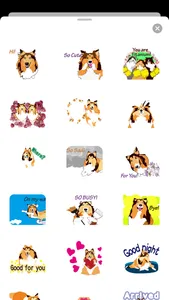 Exciting Sheltie Dog Sticker screenshot 1