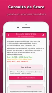 Consulta CPF, Score e Dívidas screenshot 4