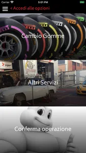 Pigna Tyres screenshot 0