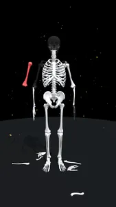 Assemble Skeleton screenshot 5