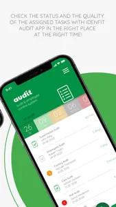 idenfit-audit screenshot 3