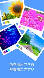 Picolor - 色を抽出できる写真加工アプリ screenshot 0