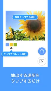 Picolor - 色を抽出できる写真加工アプリ screenshot 3