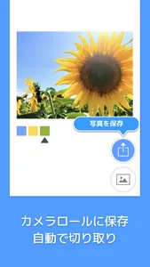 Picolor - 色を抽出できる写真加工アプリ screenshot 4