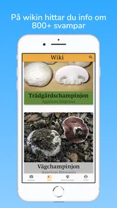 fungai - svampguide med AI screenshot 5