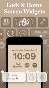 Themify - Widget & Icon Themes screenshot 0