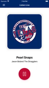 True Texas Radio screenshot 2