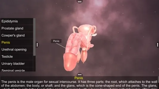 Human Reproductive System screenshot 3