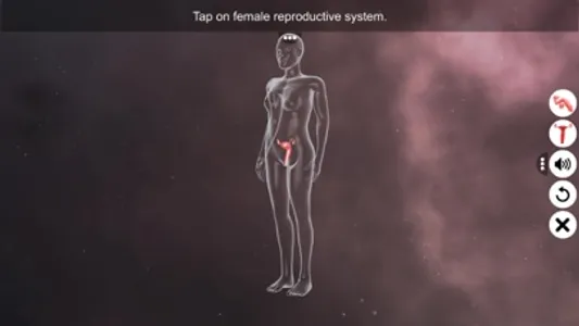 Human Reproductive System screenshot 4