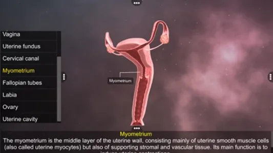 Human Reproductive System screenshot 6