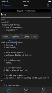Từ điển 2 (VietnamDictionary) screenshot 4