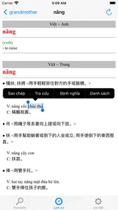 Từ điển 2 (VietnamDictionary) screenshot 7