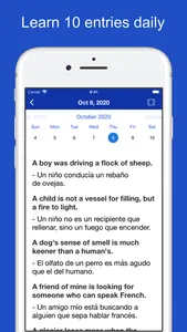 English Spanish Sentences screenshot 7