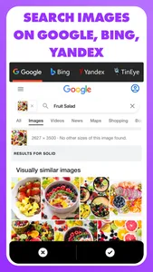 Reverse - Image Search screenshot 1