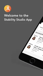 Stability Studio screenshot 2