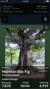 CMyTrees screenshot 3