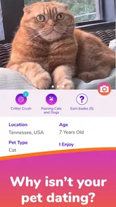 Crush Connection screenshot 0